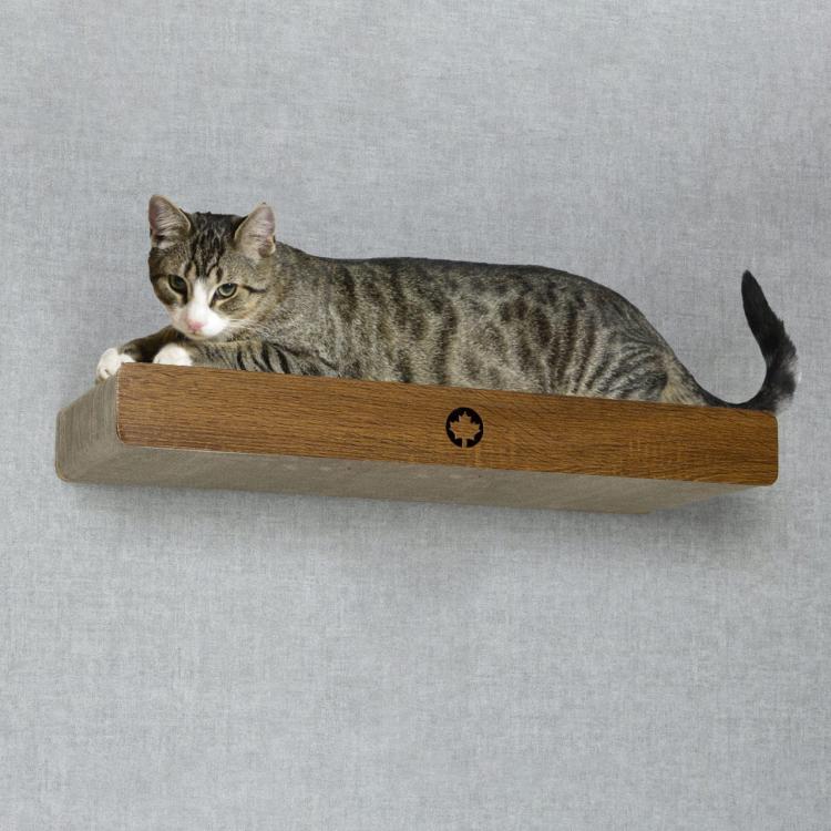 CLOUD | nástěnný škrabák | ořech | Canadian Cat | 70 x 30 x 8 cm od ParrotPlanet.cz