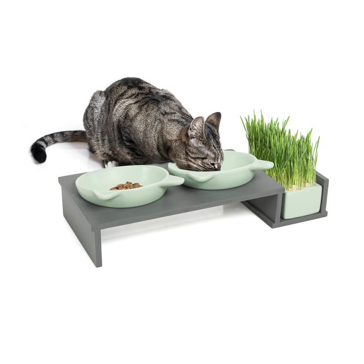Misky pro kočky | Kočičí bar |Canadian Cat | šedo-mátová od ParrotPlanet.cz
