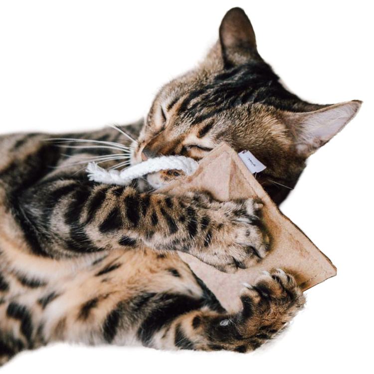Polštářek pro kočky | Canadian Cat | FELTY | béžový | valeriána 5 g od ParrotPlanet.cz