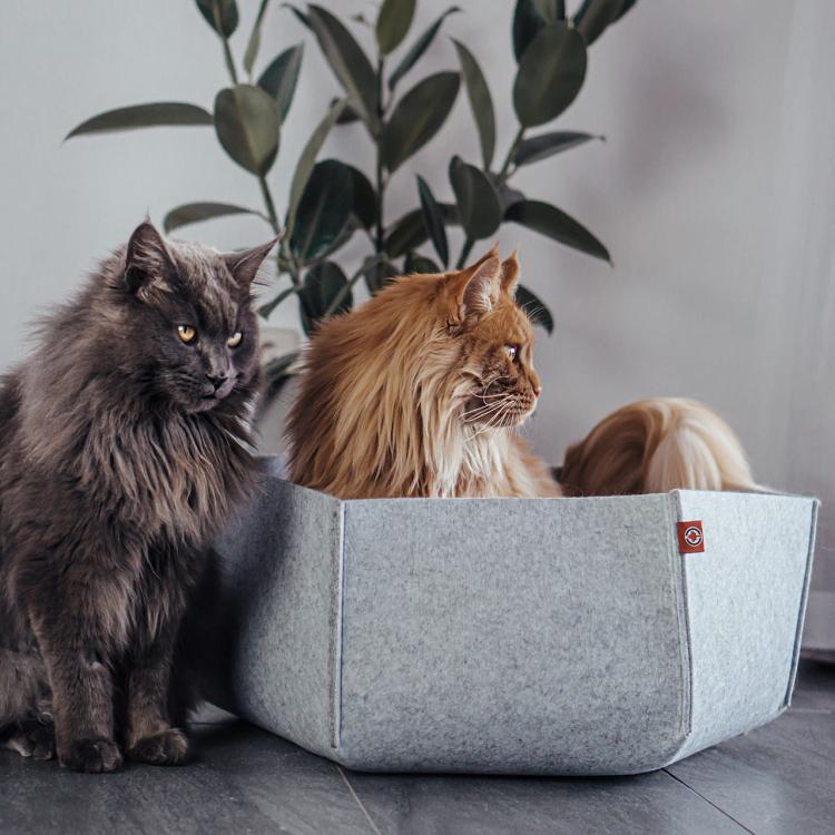 AVA | Pelíšek Košík pro kočky z plsti | Canadian Cat | velikost L | světle šedá od ParrotPlanet.cz