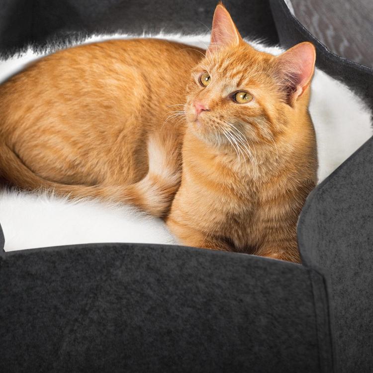 AVA | Pelíšek Košík pro kočky z filcu | Canadian Cat | velikost L | antracitová od ParrotPlanet.cz