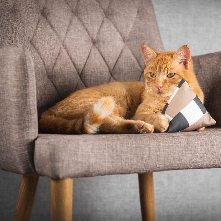 Polštářek PIRAMIDKA XL pro mazlení kočky | Canadian Cat | W KROPKI | valeriána 11 g od ParrotPlanet.cz