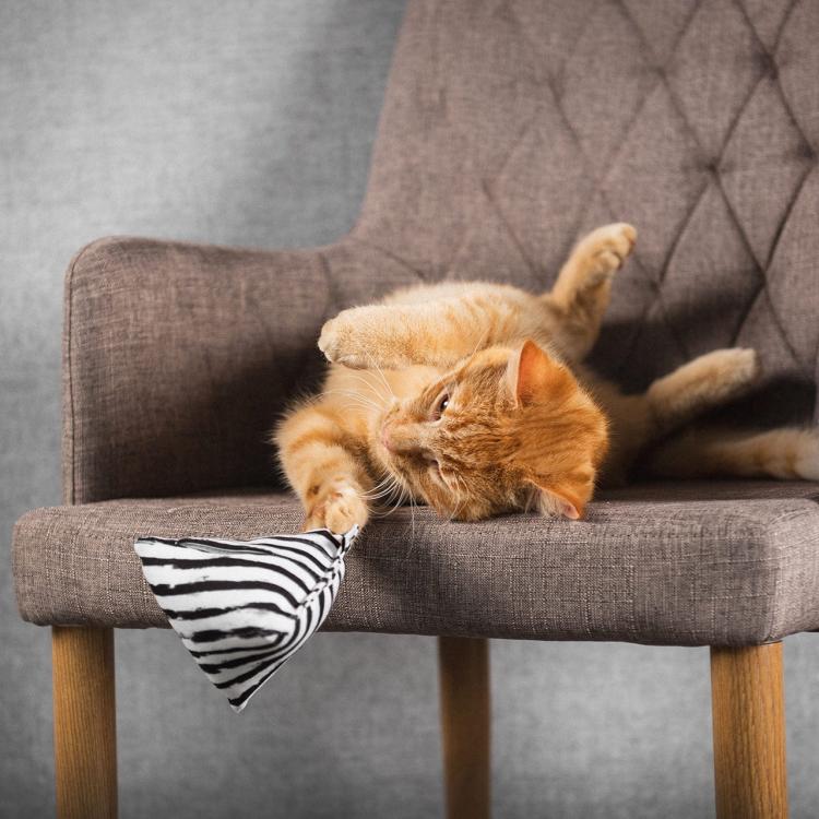 Polštářek PIRAMIDKA XL do Przytulania dla kota | Canadian Cat | ZIG ZAG | kocimiętka 11g od ParrotPlanet.cz