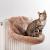 Pelíšek na radiátor pro kočky | Canadian Cat | béžový od ParrotPlanet.cz