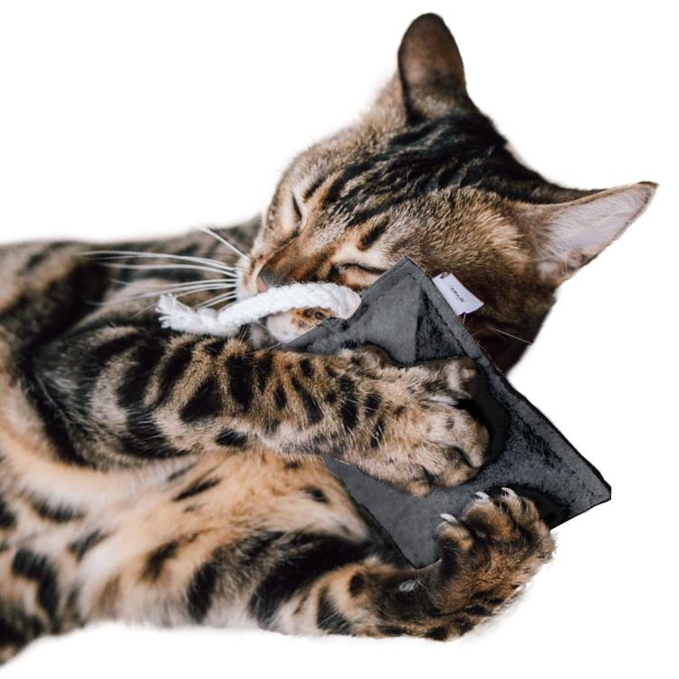 Polštářek pro kočky | Canadian Cat | FELTY | tmavě šedý | kočičí máta 5 g od ParrotPlanet.cz