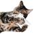 Polštářek pro kočky | Canadian Cat | FELTY | bílý | šanta kočičí 5 g od ParrotPlanet.cz