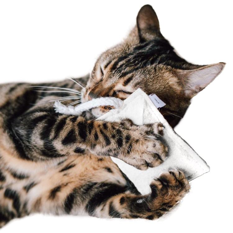 Polštářek pro kočky | Canadian Cat | FELTY | bílý | šanta kočičí 5 g od ParrotPlanet.cz