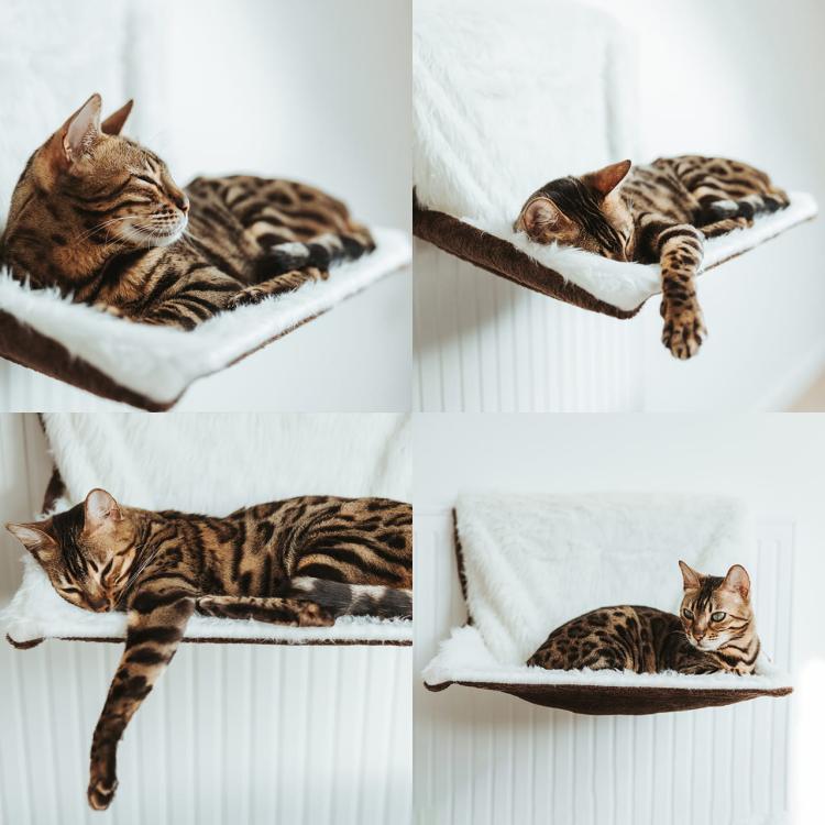 Restful Sleep | Pelíšek na radiátor pro kočky | Canadian Cat | Dlouhovlasý plyš / velur | 46 x 26 x 31 cm | krémově hnědá od ParrotPlanet.cz