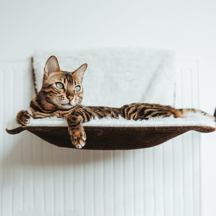 Restful Sleep | Pelíšek na radiátor pro kočky | Canadian Cat | Dlouhovlasý plyš / velur | 46 x 26 x 31 cm | krémově hnědá od ParrotPlanet.cz