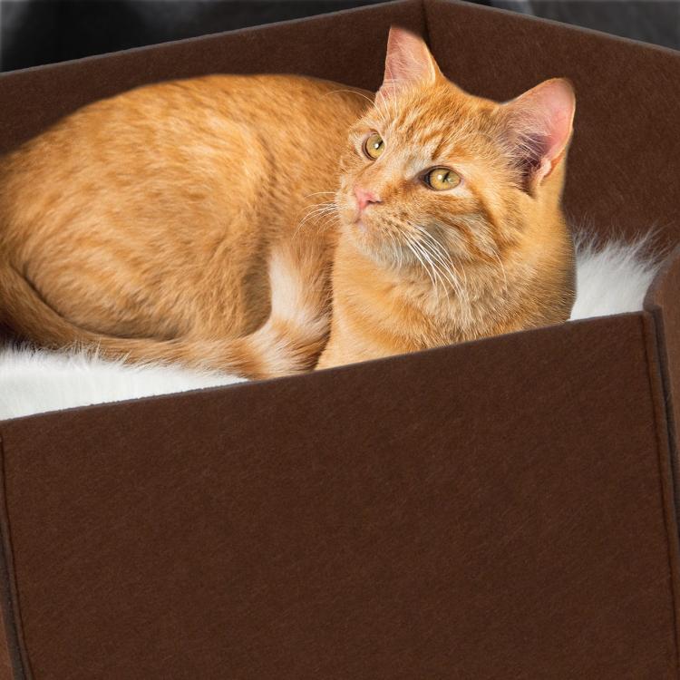 AVA | Pelíšek Košík pro kočky z plsti | Canadian Cat | velikost L | hnědá od ParrotPlanet.cz