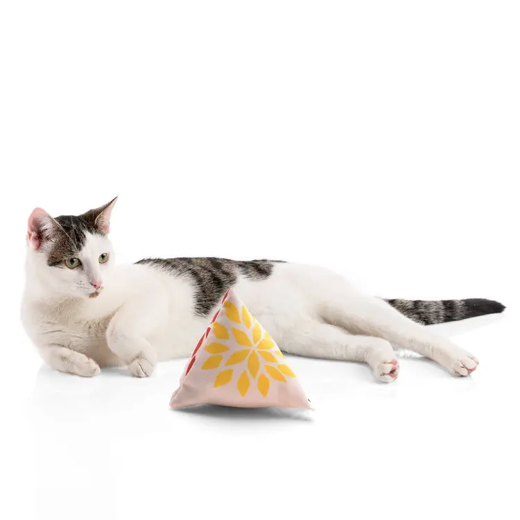 Polštářek PIRAMIDKA XL pro mazlení kočky | Canadian Cat | Reggae FLOWER | kočičí máta 11 g od ParrotPlanet.cz