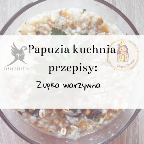 PAPUZIA Kuchyně ParrotPlanet – ZELENINOVÁ POLÉVKA – Originální recept Adzioszki z Parrot Disaster od ParrotPlanet.cz