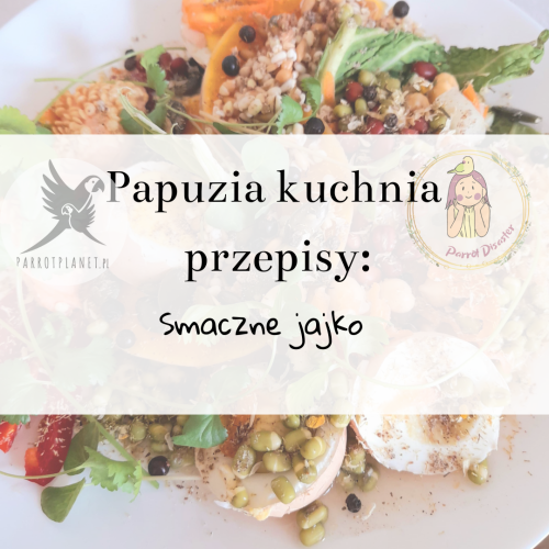 PAPUZIA Kuchyně ParrotPlanet – CHUTNÉ VEJCE – Originální recept Adzioszki z Parrot Disaster od ParrotPlanet.cz