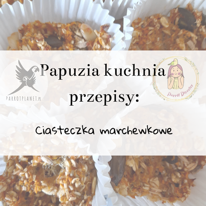 PAPUZIA Kuchyně ParrotPlanet – MRKVOVÉ SUŠENKY – Originální recept Adzioszki z Parrot Disaster od ParrotPlanet.cz
