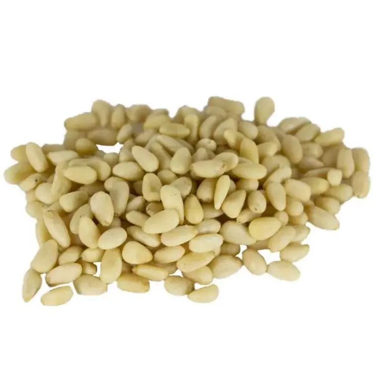 Back Zoo Nature - Piniové oříšky pro papoušky 50 g od ParrotPlanet.cz