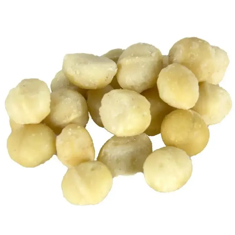 Back Zoo Nature - Makadamové ořechy pro papoušky 50 g od ParrotPlanet.cz