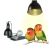 Back Zoo Nature Bird Sun UV – Žárovka pro papoušky 35 Wod ParrotPlanet.cz