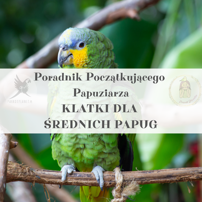 Průvodce ParrotPlanet – Průvodce pro začínající chovatele papoušků – Klece pro středně velké papoušky od ParrotPlanet.cz