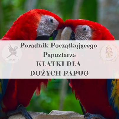 Průvodce ParrotPlanet – Průvodce pro začínající chovatele papoušků – Klece pro velké papoušky od ParrotPlanet.cz