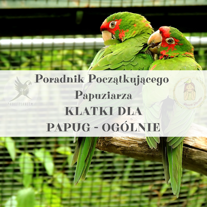 Průvodce ParrotPlanet – Průvodce pro začínající chovatele papoušků – KLÁŠTĚ pro papoušky – Obecné informace od ParrotPlanet.cz