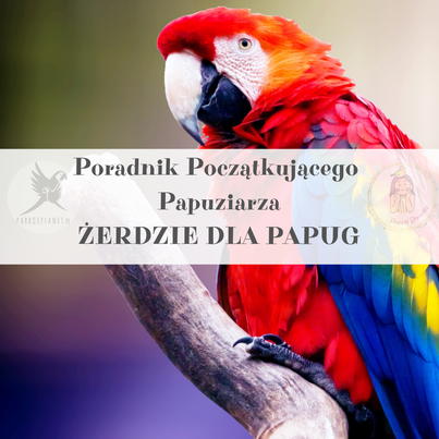 Průvodce ParrotPlanet – Průvodce pro začínající chovatele papoušků – Tyče – jak vybrat správnou tyč pro vašeho papouška od ParrotPlanet.cz
