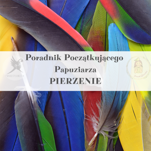 Průvodce ParrotPlanet – Průvodce pro začínající chovatele papoušků – Pelichání – co by měl vědět každý chovatel papoušků od ParrotPlanet.cz