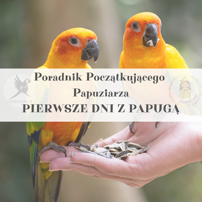 Průvodce ParrotPlanet – Průvodce pro začínající chovatele papoušků – První dny s papouškem od ParrotPlanet.cz