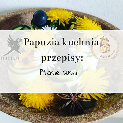 PAPUZIA Kuchyně ParrotPlanet – PTASIE SUSHI – Originální recept Adzioszki z Parrot Disaster od ParrotPlanet.cz