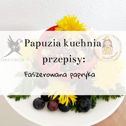 PAPUZIA Kuchyně ParrotPlanet – PLNĚNÁ PAPRIKA – Originální recept Adzioszki z Parrot Disaster od ParrotPlanet.cz
