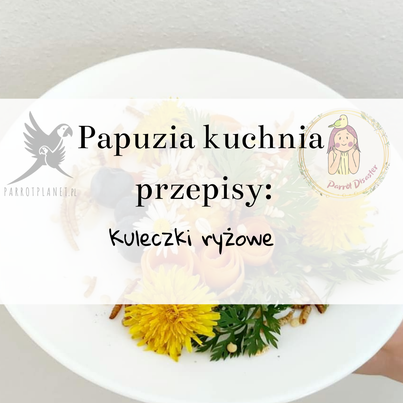 PAPUZIA Kuchyně ParrotPlanet – RÝŽOVÉ KULIČKY – Originální recept Adzioszki z Parrot Disaster od ParrotPlanet.cz