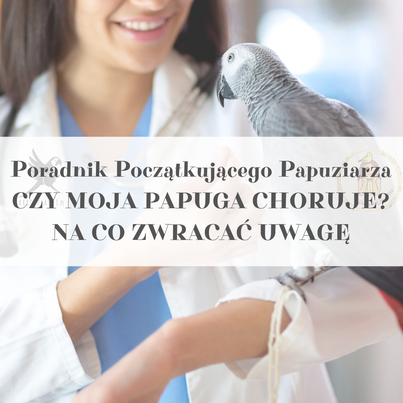 Průvodce ParrotPlanet – Průvodce pro začínající chovatele papoušků – JE MŮJ PAPOUŠEK NEMOCNÝ? od ParrotPlanet.cz