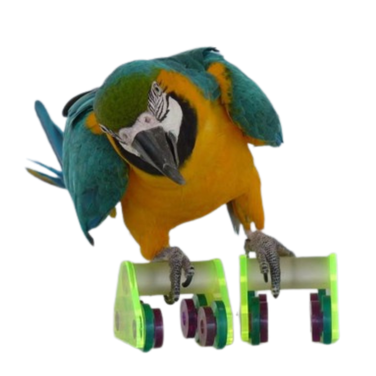 Inline brusle velikost XL 2 kusy - Logická hračka pro velké papoušky od ParrotPlanet.cz