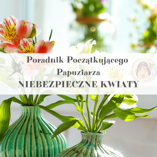 Průvodce ParrotPlanet – NEBEZPEČNÉ KAMENICOVÉ ROSTLINY – Průvodce pro začínající chovatele papoušků od ParrotPlanet.cz