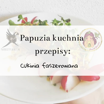 PAPUZIA Kuchyně ParrotPlanet – PLNĚNÁ CUKETA – Originální recept Adzioszki z Parrot Disaster od ParrotPlanet.cz