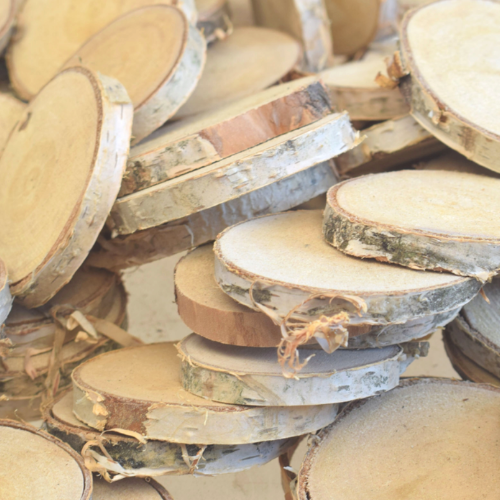 Kus březového dřeva pro papoušky nebo DIY hračky pro papoušky, průměr 6–9 cm od ParrotPlanet.cz