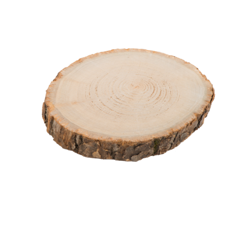 Kus březového dřeva pro papoušky nebo DIY hračky pro papoušky, průměr 6–9 cm od ParrotPlanet.cz