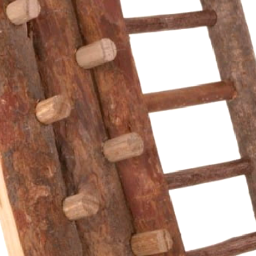 Stěna radosti – přírodní hračka pro malé a střední papoušky od ParrotPlanet.cz