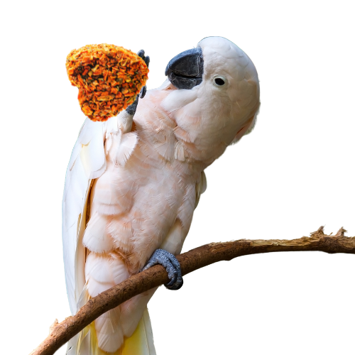 Srdce s mrkví – pochoutka z lásky pro všechny papoušky od ParrotPlanet.cz