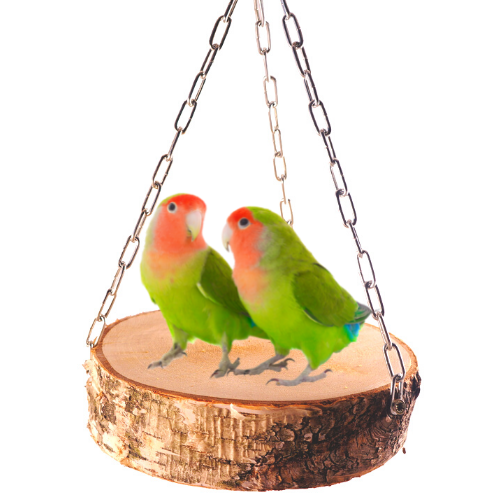 Přírodní závěsný stolek M/L – pro všechny menší a střední papoušky od ParrotPlanet.cz