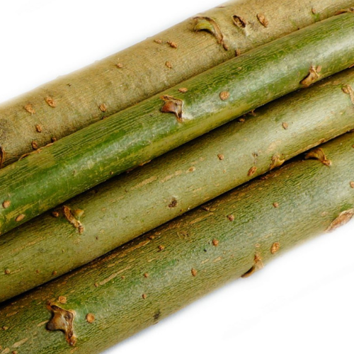 Mladé vrbové větvičky pro papoušky | Přírodní hračka a pamlsek 100 g od ParrotPlanet.cz