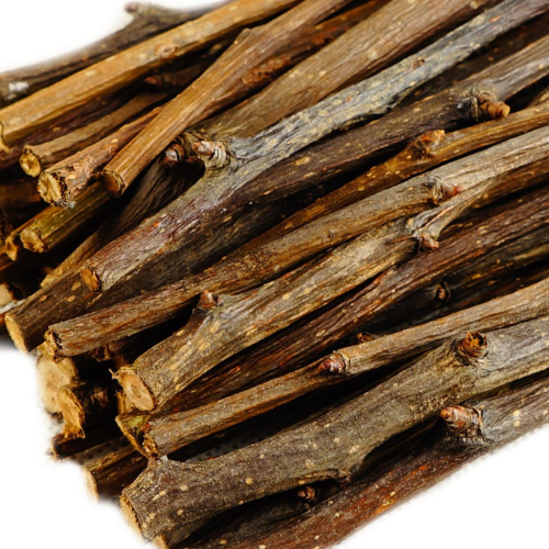 Hruškové větvičky pro papoušky – pamlsek a přírodní zdroj cenných živin od ParrotPlanet.cz