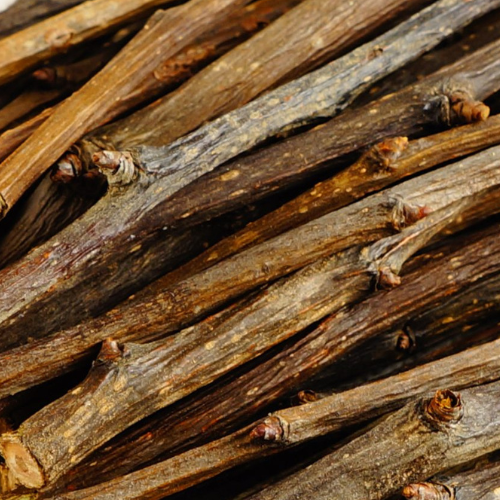 Hruškové větvičky pro papoušky – pamlsek a přírodní zdroj cenných živin od ParrotPlanet.cz