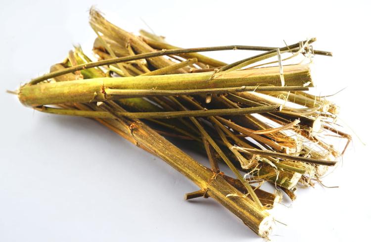 Konopné tyčinky – pro všechny papoušky od ParrotPlanet.cz