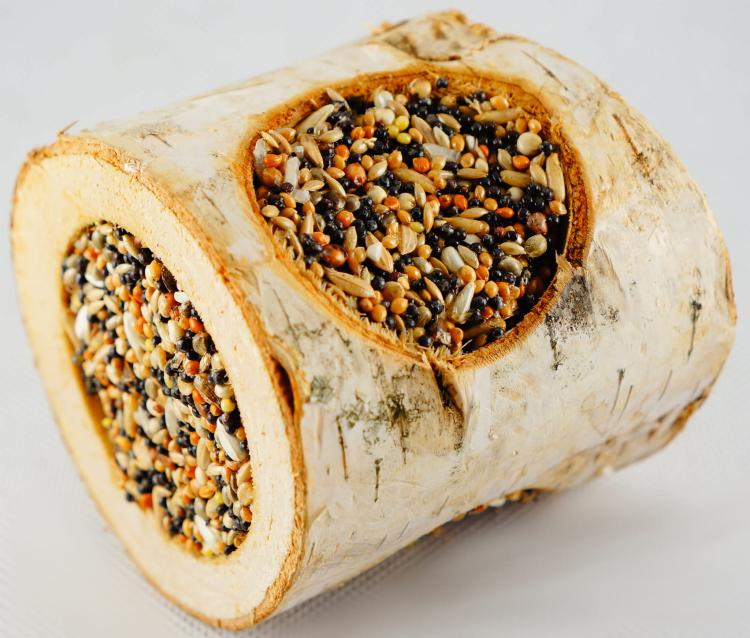 Bylinný pařez – pro všechny papoušky od ParrotPlanet.cz