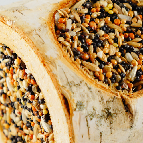 Bylinný pařez – pro všechny papoušky od ParrotPlanet.cz