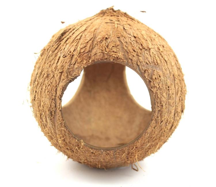 Celý kokos se třemi otvory – DIY – přírodní hračka z ekologického kokosu pro papoušky od ParrotPlanet.cz