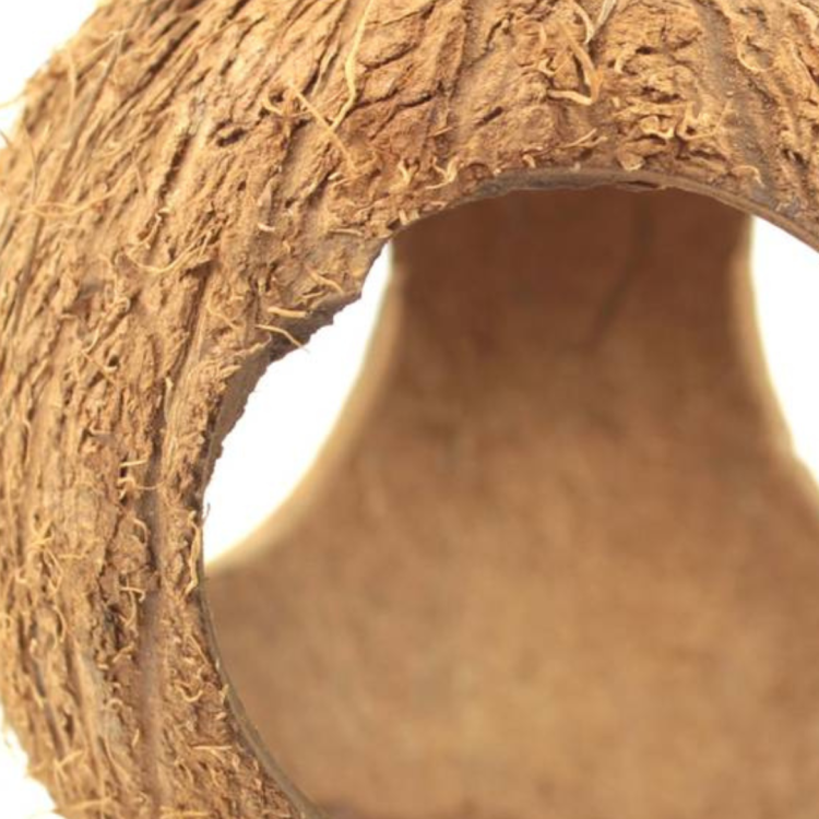 Celý kokos se třemi otvory – DIY – přírodní hračka z ekologického kokosu pro papoušky od ParrotPlanet.cz