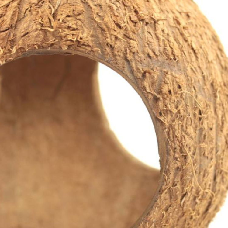 Celý kokos se třemi otvory – DIY – přírodní hračka z ekologického kokosu pro papoušky od ParrotPlanet.cz