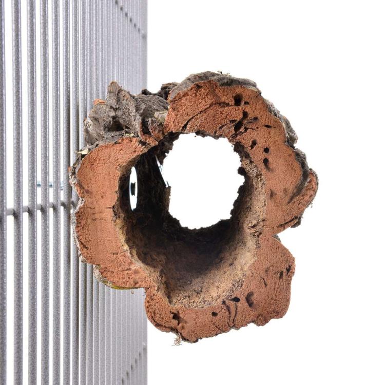 Přírodní bidélko nebo jeskyně z korkové kůry dubu, velikost L – pro velké a střední papoušky od ParrotPlanet.cz