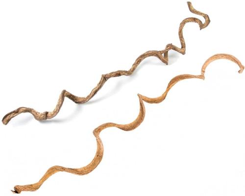 Pod Chmurką – hračka pro střední papoušky od PARROT DISASTER od ParrotPlanet.cz